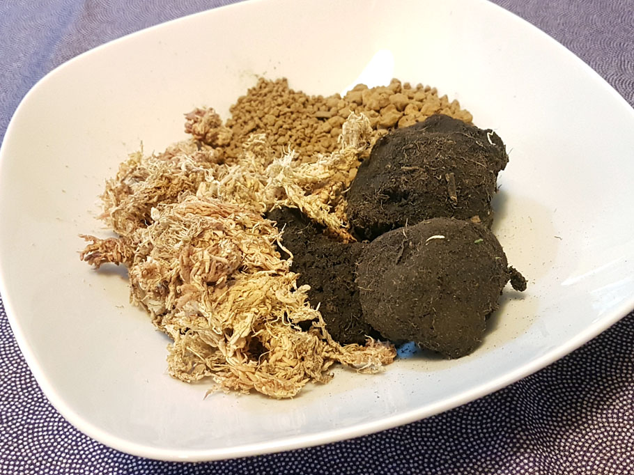 自己動手做苔球植栽