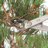 剪去大部分的小枝條後就有足夠的空間針對欲剪去的粗枝下手