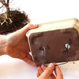 另外置入鋁線，稍等用來固定盆栽