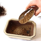 先放入薄薄一層的粒狀介質以維持排水性，例如熔岩石、礫石、或赤玉土