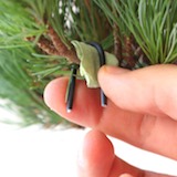 先在枝幹上包住一層保護作用的布料，再用粗線環繞枝幹成為牽引用的「鉤子」