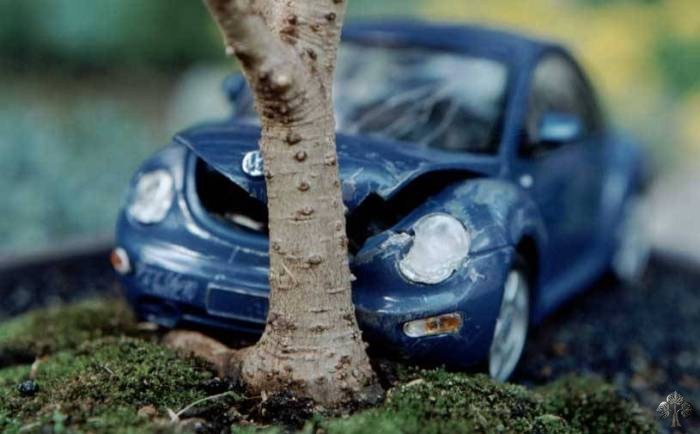 三：砰的一聲！