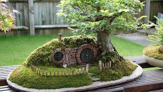 10個風格最獨特的稀有盆栽